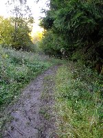 Großes Bild Beschwerliche Wege