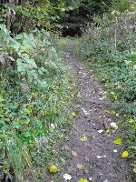 Großes Bild Beschwerliche Wege