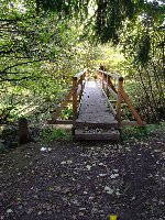 Großes Bild Brücke