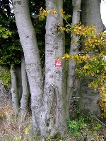 Großes bild Markierung